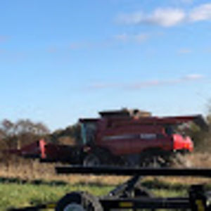 Meet your Posher, Joellen